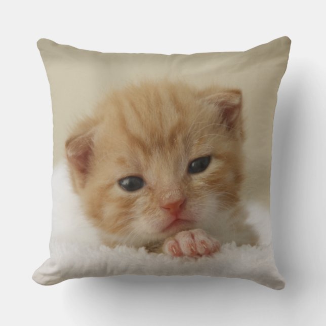 Tiny Orange Kitten Cushion (Front)