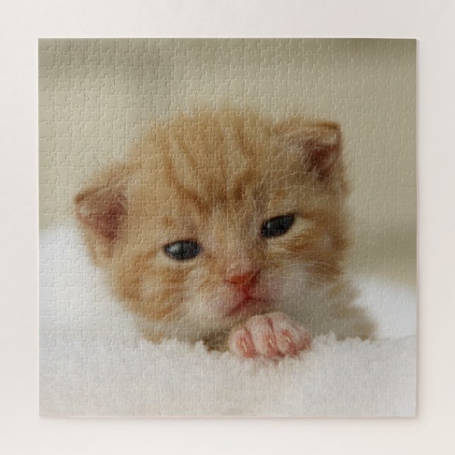 Tiny Orange Kitten Jigsaw Puzzle (Vertical)