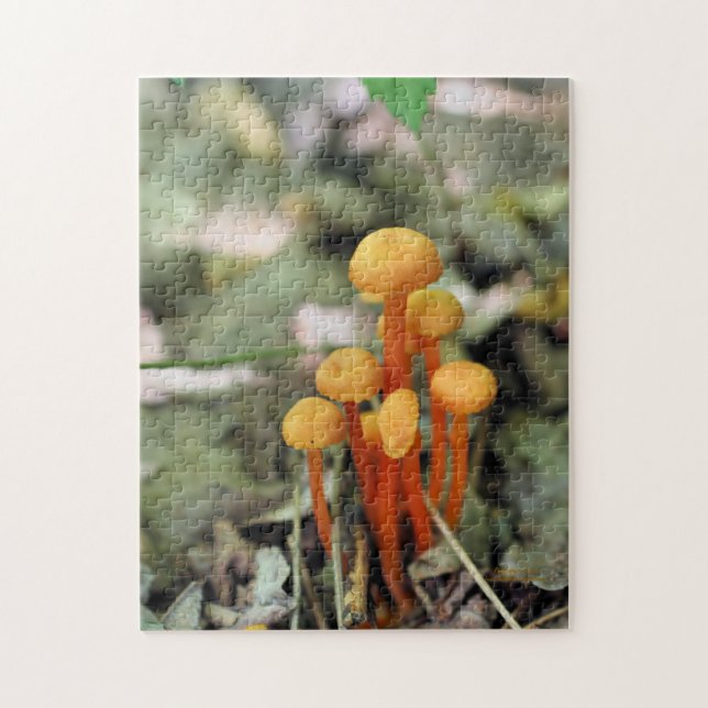 Tiny Orange Wild Mushrooms Nature  Jigsaw Puzzle (Vertical)
