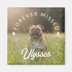 Tiny Paw Prints Forever Missed Pet Photo Magnet