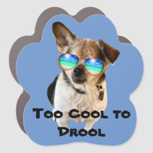 Tiny Paws Sanctuary: Chico Too Cool to Drool