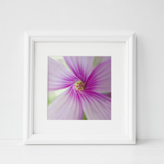 Tiny Pink Flower Photo Print