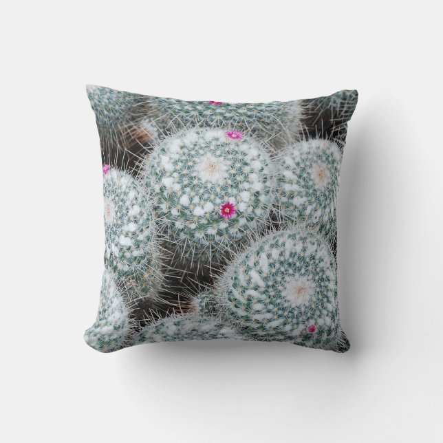 Tiny Pink Flowers Cactus Plants Cushion (Front)