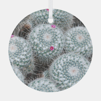Tiny Pink Flowers Cactus Plants Glass Tree Decoration