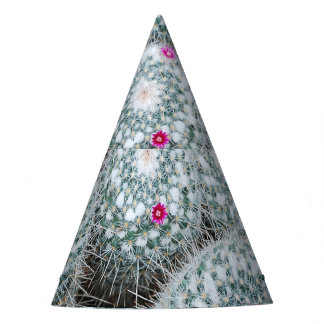 Tiny Pink Flowers Cactus Plants Party Hat