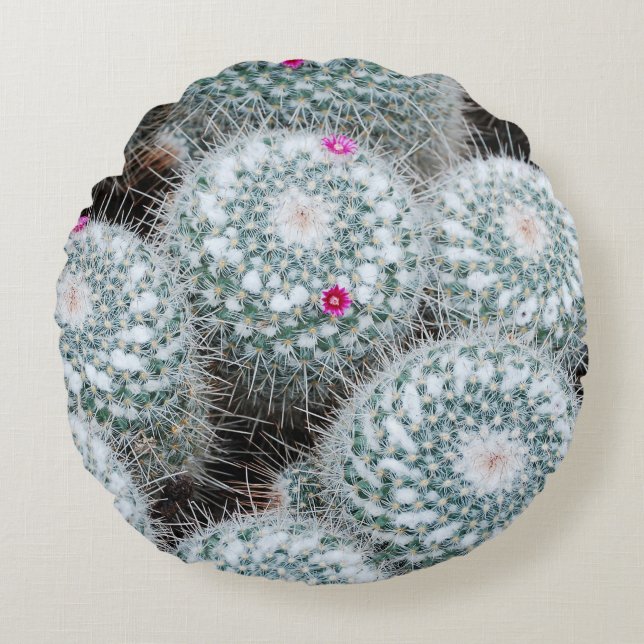 Tiny Pink Flowers Cactus Plants Round Cushion (Front)