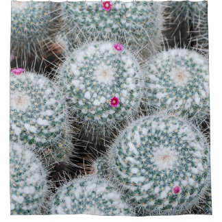 Tiny Pink Flowers Cactus Plants Shower Curtain