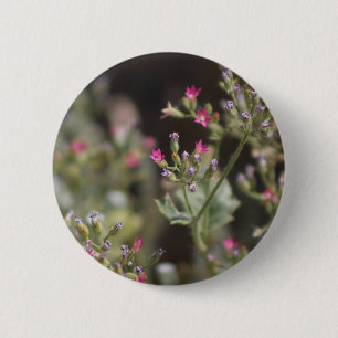 Tiny Pink Wildflowers Coachella Valley Wildlife Bu 6 Cm Round Badge