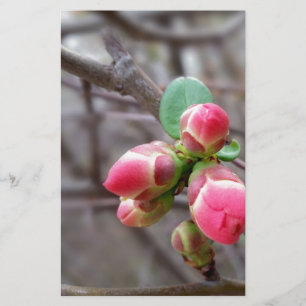 tiny red buds
