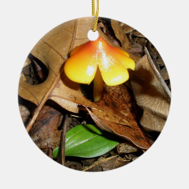 Tiny Red Yellow Mushroom Christmas Ornament (Front)