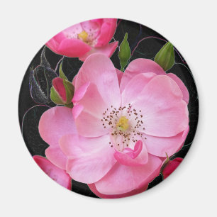 tiny rosebud opens magnet