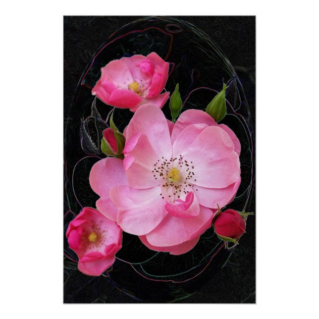 tiny rosebud opens poster (Front)