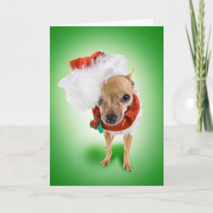 Tiny Santa Holiday Card