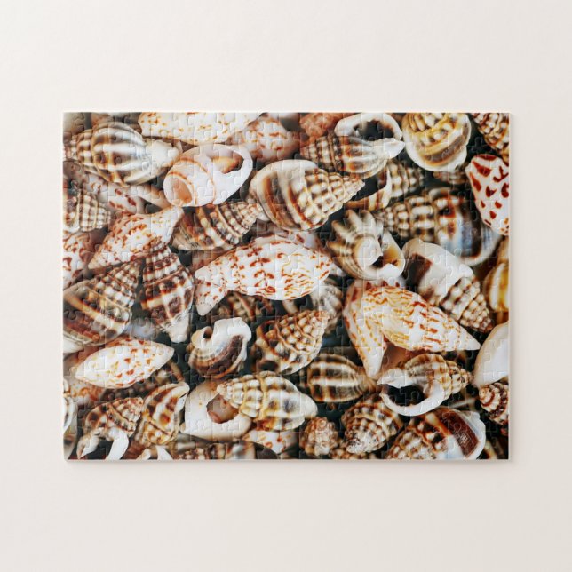 Tiny Seashells Jigsaw Puzzle (Horizontal)