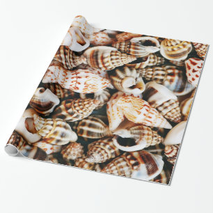 Tiny Seashells Wrapping Paper