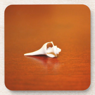 Tiny Shell Coaster