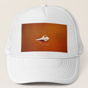 Tiny Shell Trucker Hat