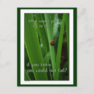 Tiny Snail "If you could not fail" Postcard