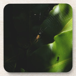 Tiny Spider Coasters