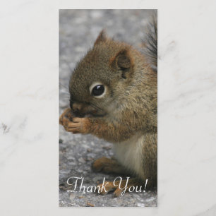 Tiny Squirrel Nibbles At Food In Paws Thank You Card