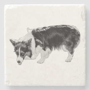 Tiny Taste Test Stone Coaster