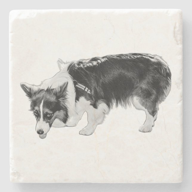 Tiny Taste Test Stone Coaster (Front)