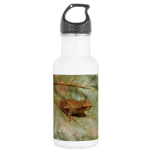 Tiny Toad 532 Ml Water Bottle