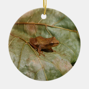 Tiny Toad Ceramic Tree Decoration