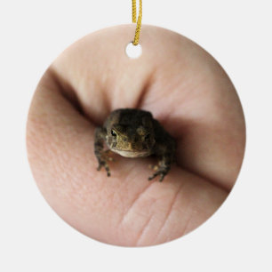 Tiny toad ceramic tree decoration