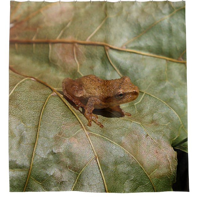 Tiny Toad Shower Curtain (Front)
