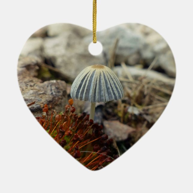 Tiny Toadstool Ceramic Tree Decoration (Back)
