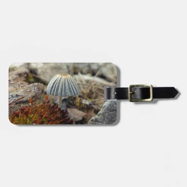 Tiny Toadstool Luggage Tag (Front Horizontal)