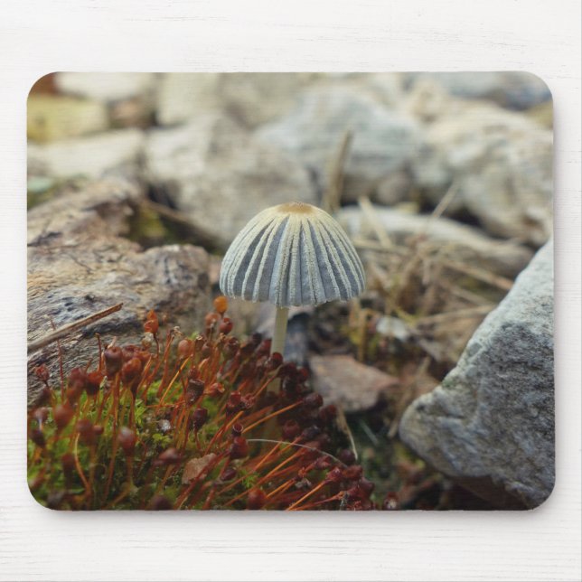 Tiny Toadstool Mouse Mat (Front)