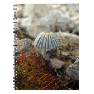 Tiny Toadstool Notebook