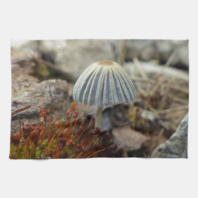 Tiny Toadstool Tea Towel (Horizontal)