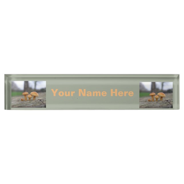 Tiny Toadstools Macro Custom Nameplate (Front)