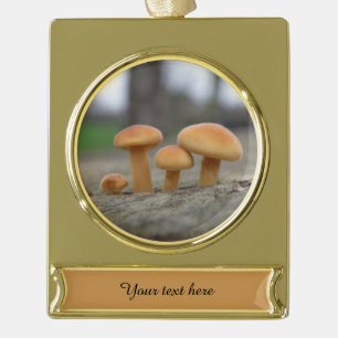 Tiny Toadstools Macro Custom Ornament