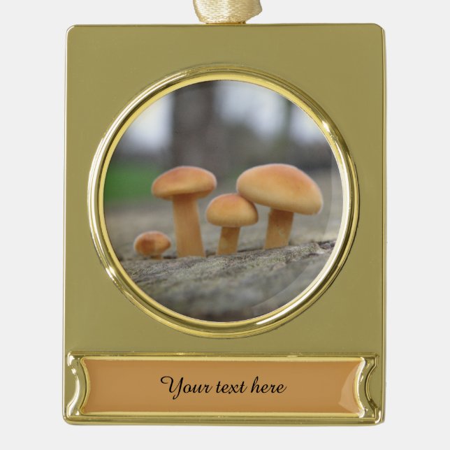 Tiny Toadstools Macro Custom Ornament (Front)