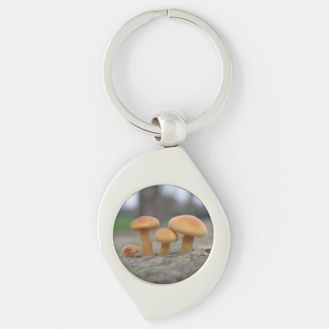 Tiny Toadstools Macro Keychain (Front)