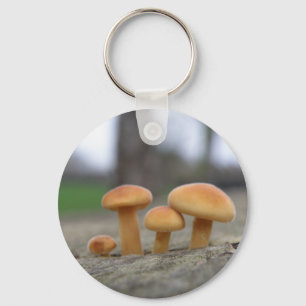 Tiny Toadstools Macro Keychain