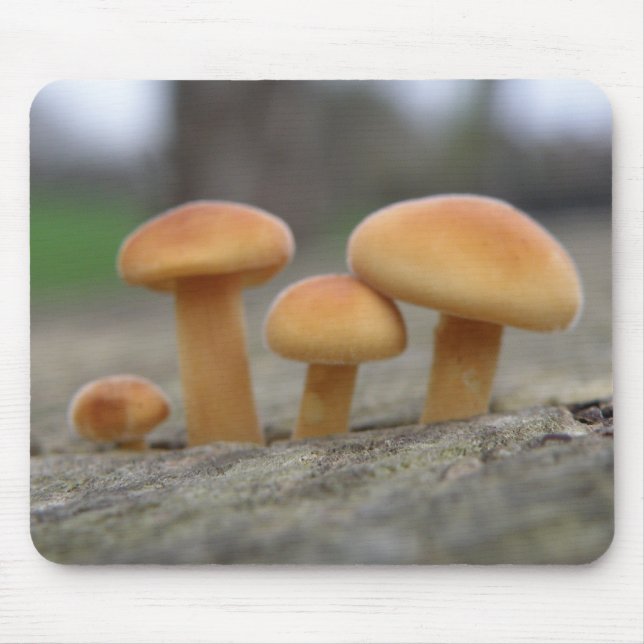 Tiny Toadstools Macro Mousepad (Front)