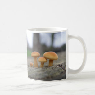 Tiny Toadstools Macro Mug
