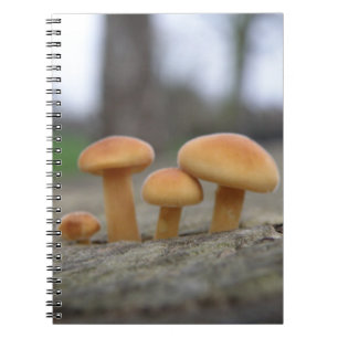 Tiny Toadstools macro Notebook
