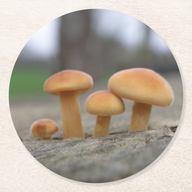 Tiny Toadstools Macro Paper Coasters (Front)