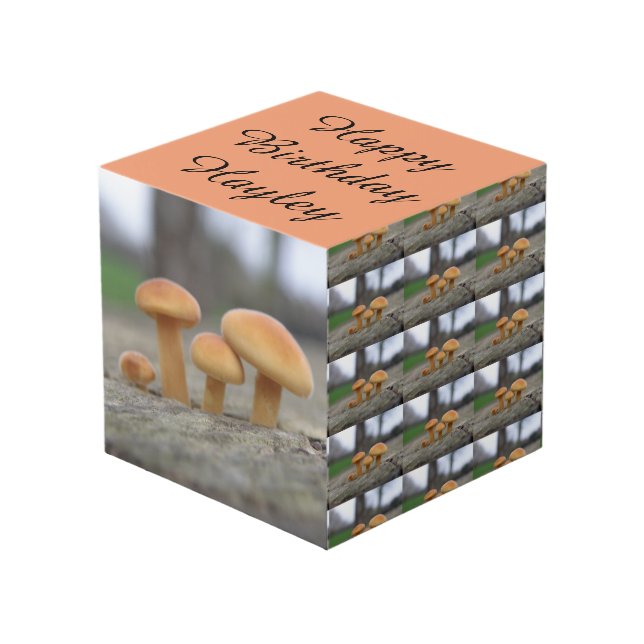 Tiny Toadstools Macro Personalised Cube (Front Angled)
