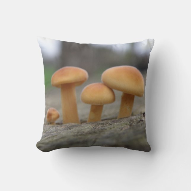 Tiny Toadstools Macro Pillow (Front)