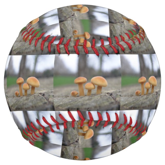Tiny Toadstools Macro Softball (Front)