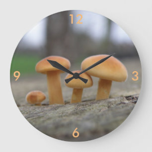 Tiny Toadstools Macro Wall Clock