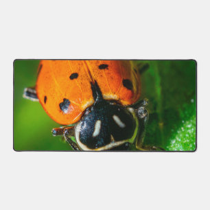 Tiny Traveler: Ladybug on a Leaf Desk Mat