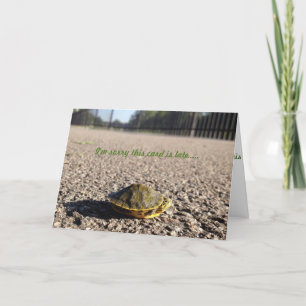 tiny turtle belated birthday card